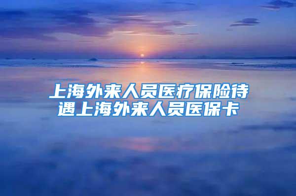 上海外来人员医疗保险待遇上海外来人员医保卡