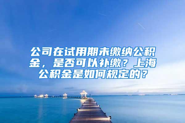 公司在试用期未缴纳公积金，是否可以补缴？上海公积金是如何规定的？