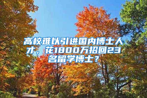 高校难以引进国内博士人才，花1800万招回23名留学博士？