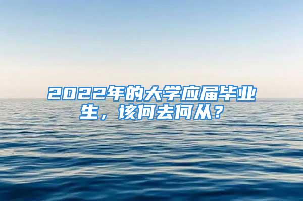 2022年的大学应届毕业生，该何去何从？