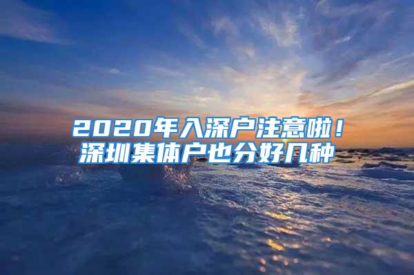 2020年入深户注意啦！深圳集体户也分好几种