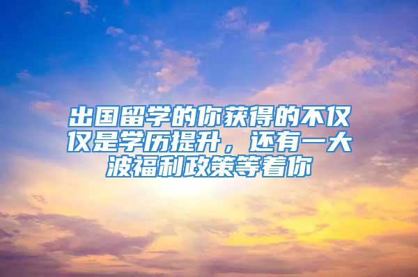 出国留学的你获得的不仅仅是学历提升，还有一大波福利政策等着你