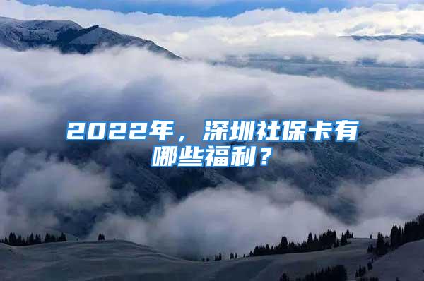 2022年，深圳社保卡有哪些福利？