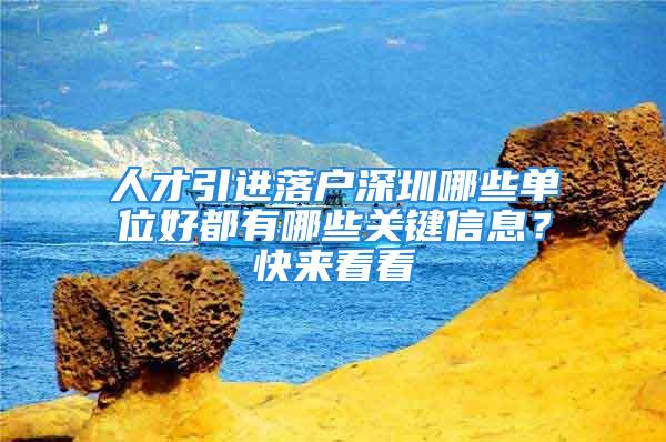 人才引进落户深圳哪些单位好都有哪些关键信息？快来看看