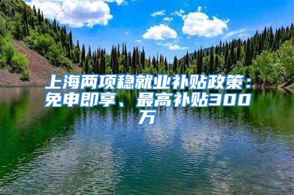 上海两项稳就业补贴政策：免申即享、最高补贴300万