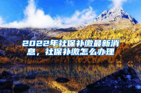 2022年社保补缴最新消息，社保补缴怎么办理