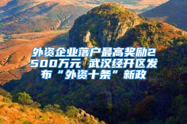 外资企业落户最高奖励2500万元 武汉经开区发布“外资十条”新政