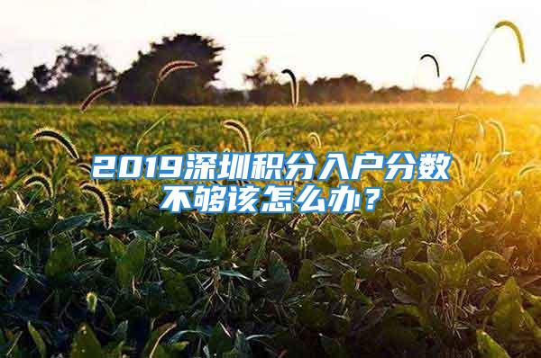 2019深圳积分入户分数不够该怎么办？