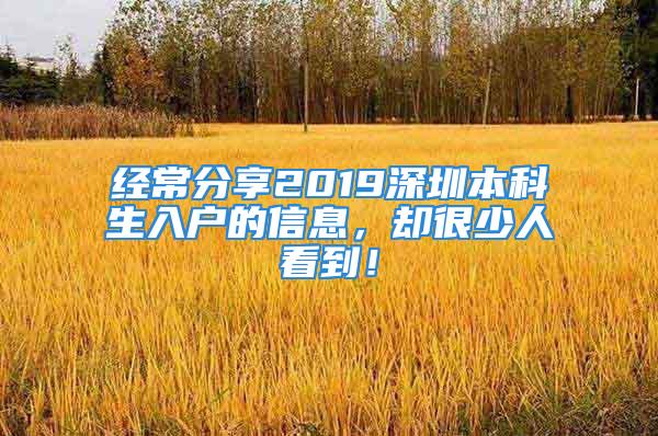 经常分享2019深圳本科生入户的信息，却很少人看到！