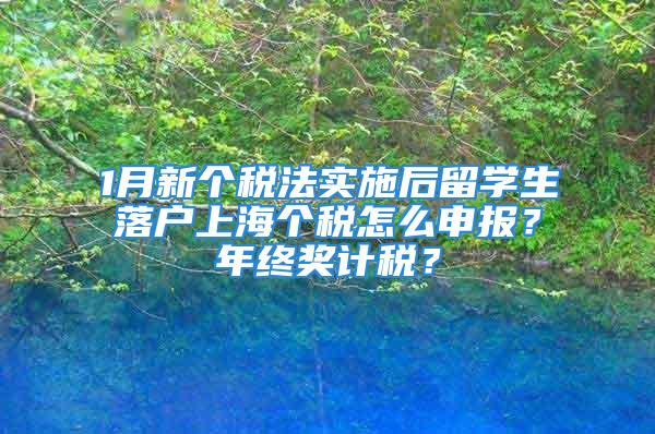 1月新个税法实施后留学生落户上海个税怎么申报？年终奖计税？