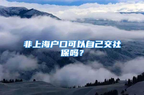 非上海户口可以自己交社保吗？