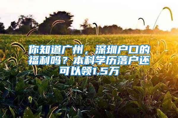 你知道广州，深圳户口的福利吗？本科学历落户还可以领1.5万