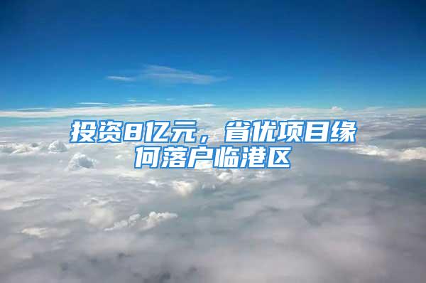 投资8亿元，省优项目缘何落户临港区