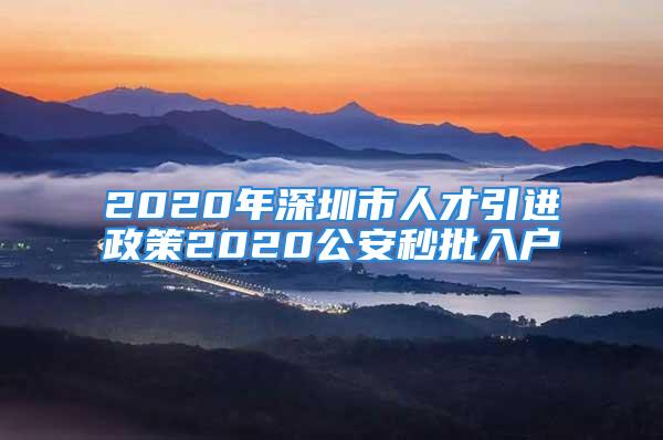 2020年深圳市人才引进政策2020公安秒批入户