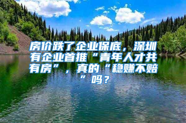 房价跌了企业保底，深圳有企业首推“青年人才共有房”，真的“稳赚不赔”吗？