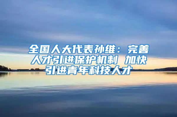 全国人大代表孙维：完善人才引进保护机制 加快引进青年科技人才