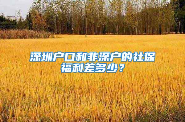 深圳户口和非深户的社保福利差多少？