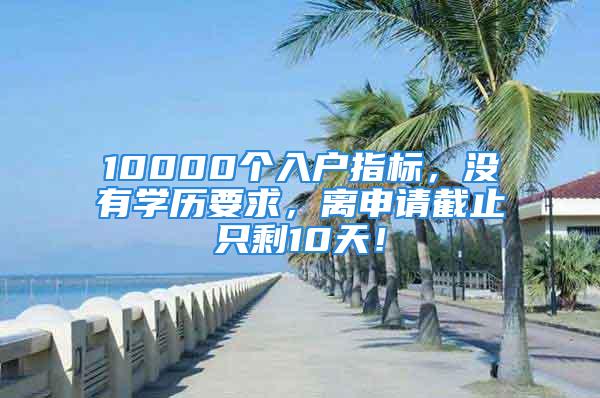 10000个入户指标，没有学历要求，离申请截止只剩10天！