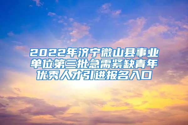 2022年济宁微山县事业单位第三批急需紧缺青年优秀人才引进报名入口