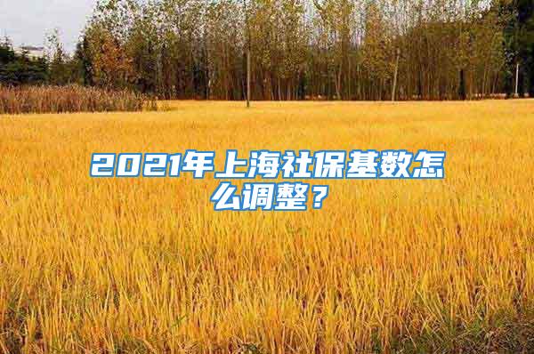 2021年上海社保基数怎么调整？