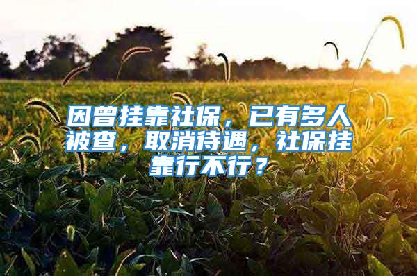 因曾挂靠社保，已有多人被查，取消待遇，社保挂靠行不行？