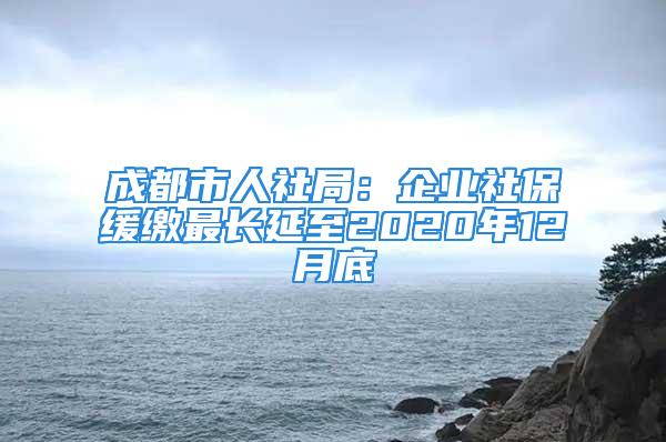 成都市人社局：企业社保缓缴最长延至2020年12月底