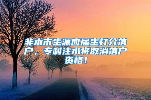 非本市生源应届生打分落户，专利注水将取消落户资格！