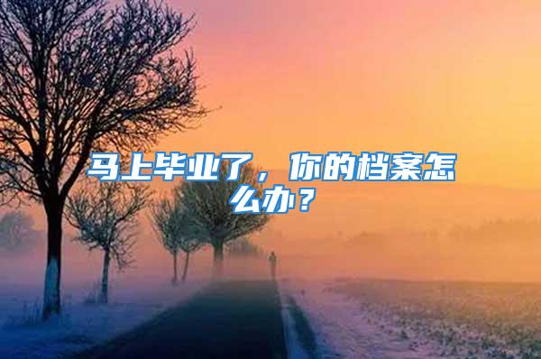 马上毕业了，你的档案怎么办？