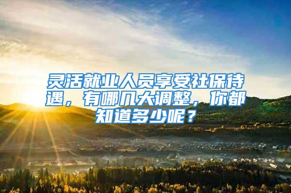 灵活就业人员享受社保待遇，有哪几大调整，你都知道多少呢？