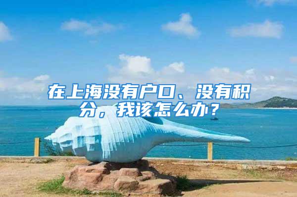 在上海没有户口、没有积分，我该怎么办？