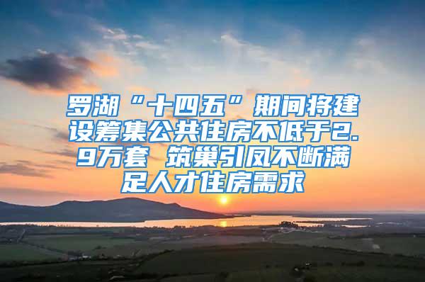 罗湖“十四五”期间将建设筹集公共住房不低于2.9万套 筑巢引凤不断满足人才住房需求