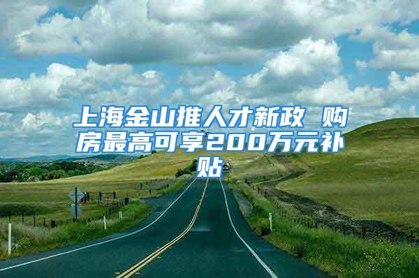 上海金山推人才新政 购房最高可享200万元补贴