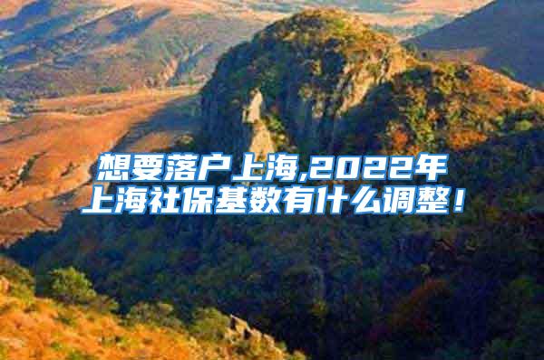 想要落户上海,2022年上海社保基数有什么调整！