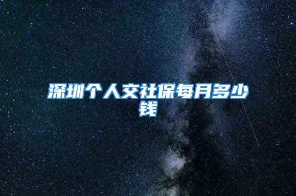 深圳个人交社保每月多少钱