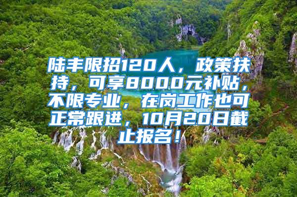 陆丰限招120人，政策扶持，可享8000元补贴，不限专业，在岗工作也可正常跟进，10月20日截止报名！