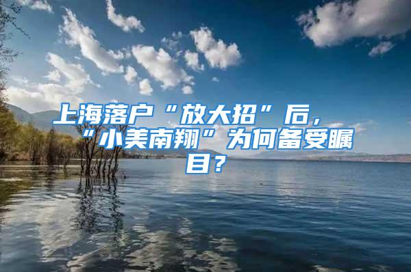 上海落户“放大招”后，“小美南翔”为何备受瞩目？