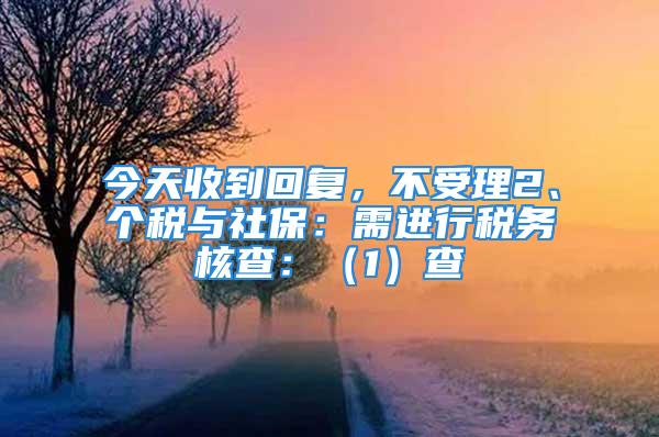 今天收到回复，不受理2、个税与社保：需进行税务核查：（1）查