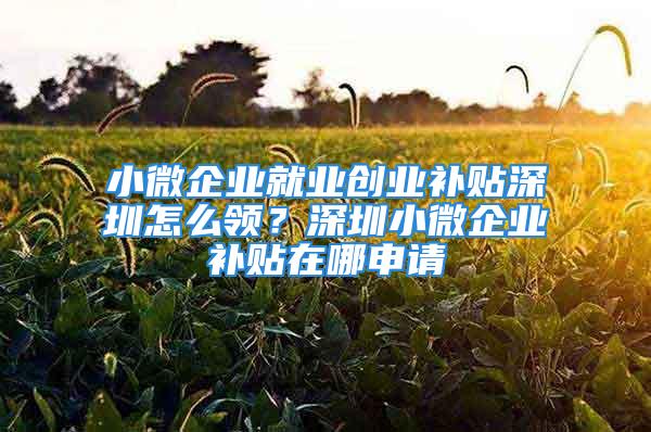 小微企业就业创业补贴深圳怎么领？深圳小微企业补贴在哪申请