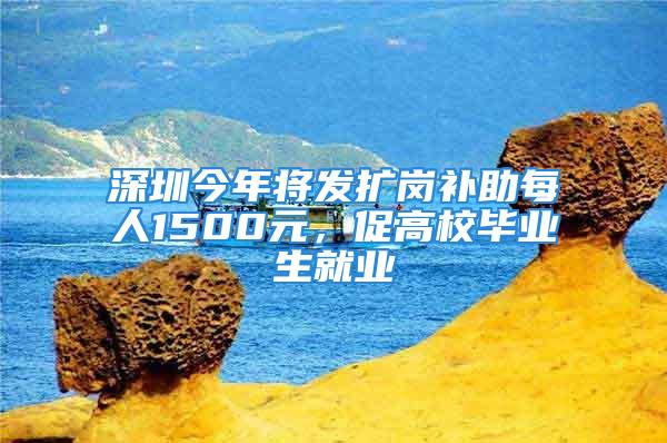 深圳今年将发扩岗补助每人1500元，促高校毕业生就业