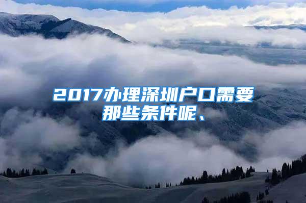 2017办理深圳户口需要那些条件呢、