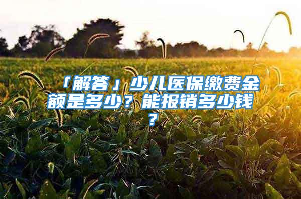 「解答」少儿医保缴费金额是多少？能报销多少钱？