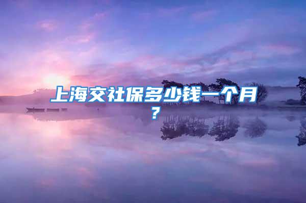 上海交社保多少钱一个月？