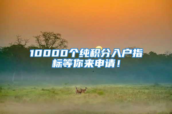 10000个纯积分入户指标等你来申请！