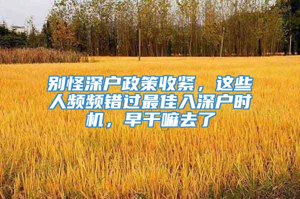 别怪深户政策收紧，这些人频频错过最佳入深户时机，早干嘛去了