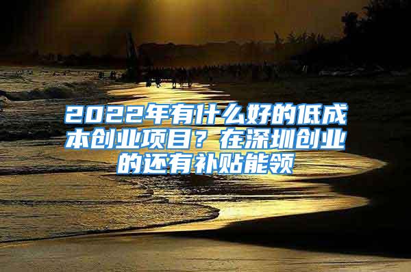 2022年有什么好的低成本创业项目？在深圳创业的还有补贴能领