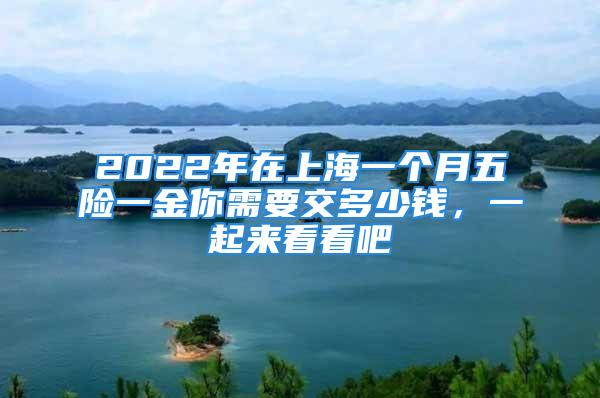 2022年在上海一个月五险一金你需要交多少钱，一起来看看吧