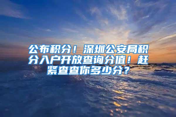 公布积分！深圳公安局积分入户开放查询分值！赶紧查查你多少分？