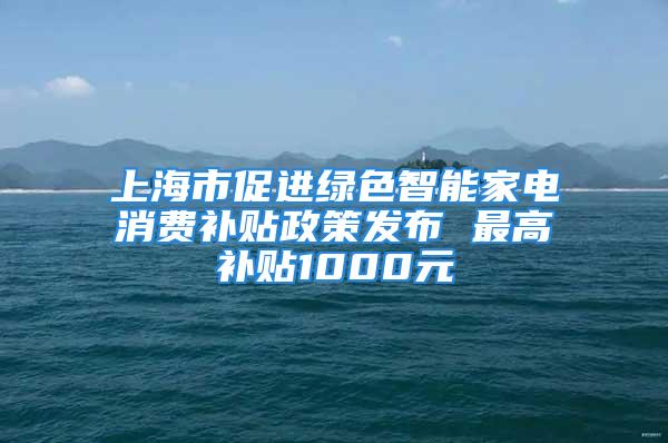 上海市促进绿色智能家电消费补贴政策发布 最高补贴1000元