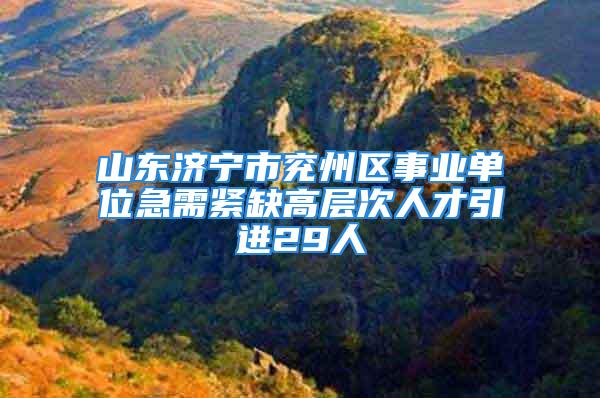 山东济宁市兖州区事业单位急需紧缺高层次人才引进29人