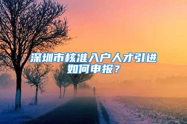 深圳市核准入户人才引进如何申报？